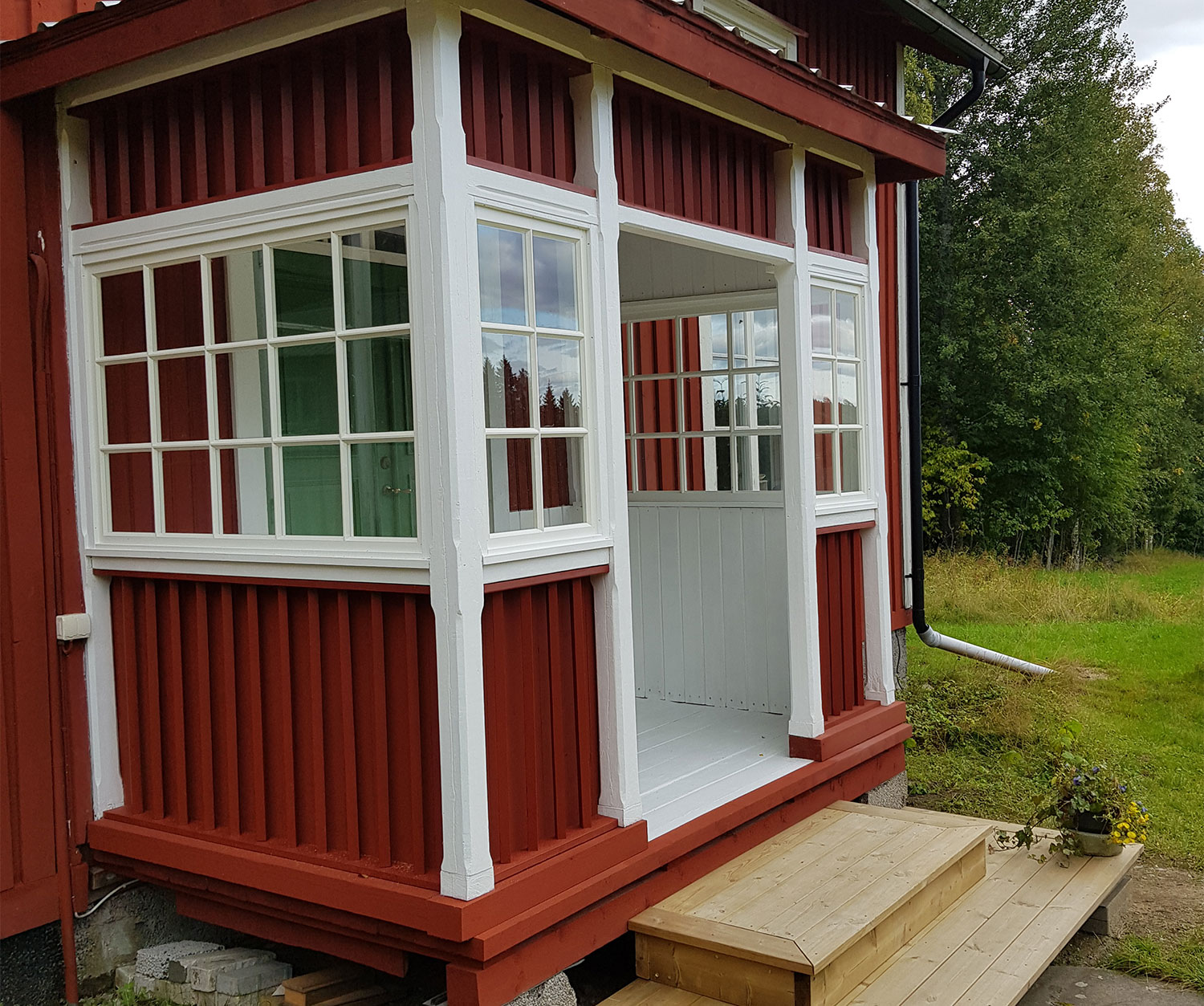 Enkelbåge-undersida